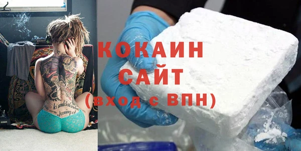 индика Тайга