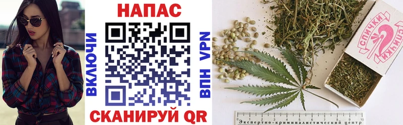 Конопля SATIVA & INDICA Лабытнанги